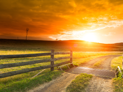 Sunrise over paddock and fence line with cattle grate over green grass